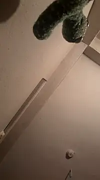 RaviRoy2326 online show from 1, 3, 2025