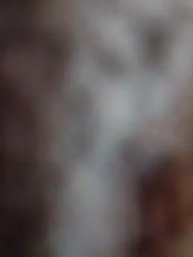 Snapshot of mhmia chatting on 12, 2, 2026 mhmia online show from 12, 2, 2026