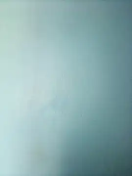 randit7 online show from 1, 3, 2025