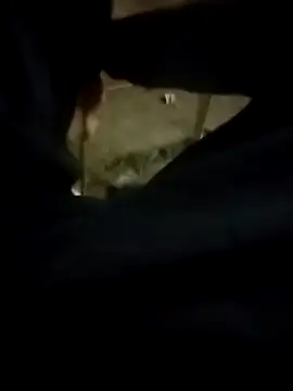 Snapshot of Playboy_bhabhi_00 chatting on 13, 2, 2025 Playboy bhabhi 00 online show from 13, 2, 2025