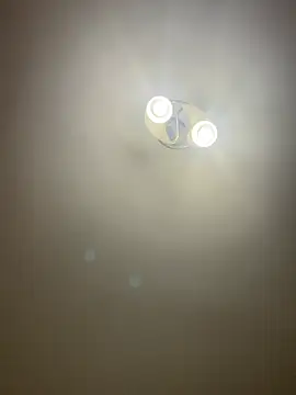 bunnythetailor online show from 7, 4, 2026