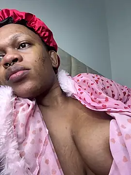 Boneca25 online show from 13, 4, 2026