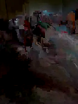 Snapshot of Ariba270 chatting on 1, 11, 2025 Ariba270 online show from 1, 11, 2025