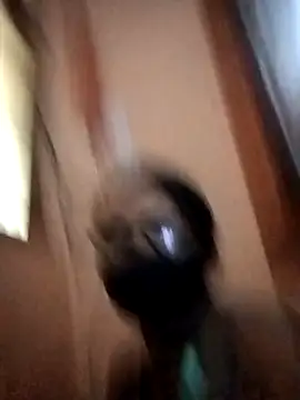 runi31 online show from 9, 1, 2026