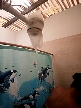 Zaira Rose  online show from 24, 2, 2026