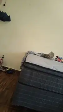 JapeDoBryan online show from 16, 5, 2026