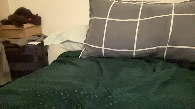 shineofcrazy online show from 21, 11, 2025