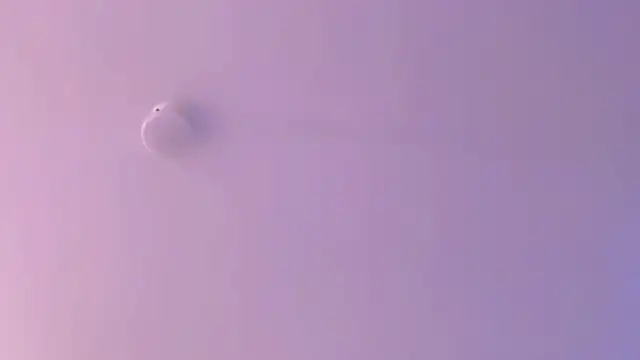 leahaltomm online show from 18, 4, 2026