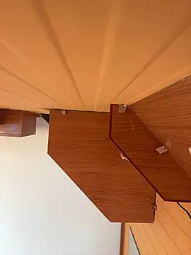 laarti online show from 12, 2, 2026