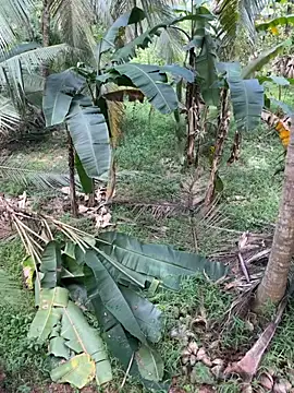 TeenLk online show from 5, 12, 2025