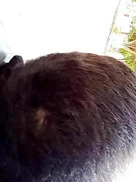 Snapshot of Elgroney23 chatting on 19, 12, 2025 Elgroney23 online show from 19, 12, 2025