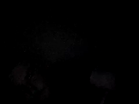 Foxtrott 242 online show from 8, 9, 2025