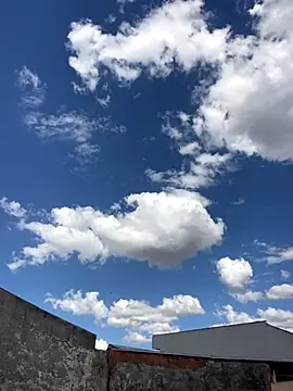 Mineirinho043 online show from 26, 11, 2025