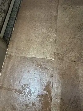 man16101 online show from 25, 3, 2026