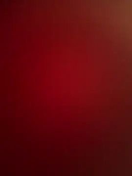 shakybabyx online show from 2, 3, 2026