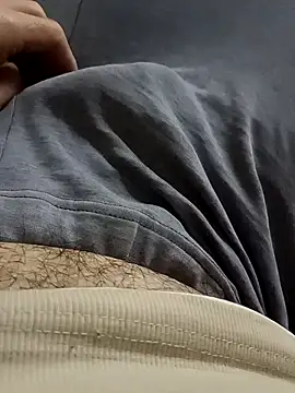 Arabian online show from 12, 2, 2026