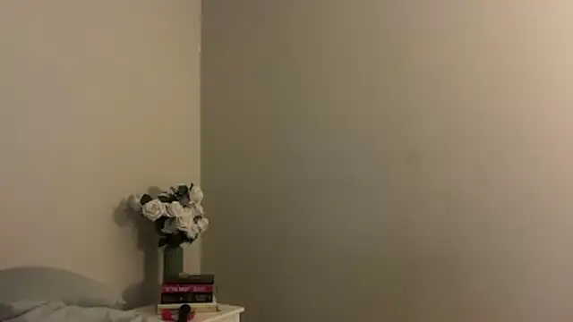 skyejde online show from 28, 11, 2025