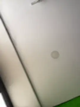 Dulce  Boyd online show from 17, 2, 2026