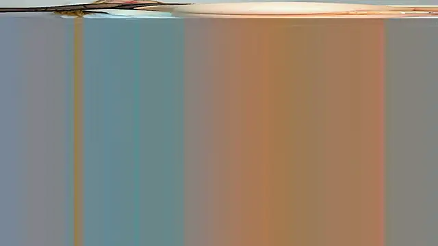 Snapshot of rouss_witt chatting on 7, 3, 2025 rouss witt online show from 7, 3, 2025