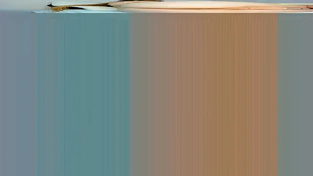 Snapshot of rouss_witt chatting on 7, 3, 2025 rouss witt online show from 7, 3, 2025