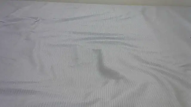 SweetTeaseX online show from 13, 2, 2025