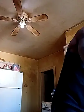 Snapshot of birdg chatting on 12, 11, 2025 birdg online show from 12, 11, 2025