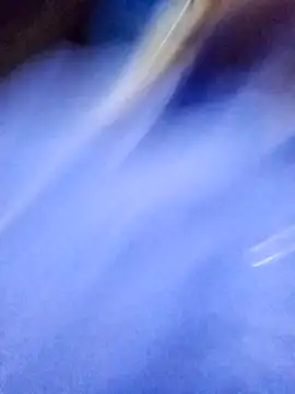 CandieGilson   online show from 16, 10, 2025