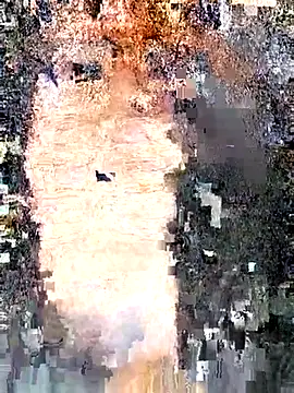 erinadarling79 online show from 25, 9, 2025