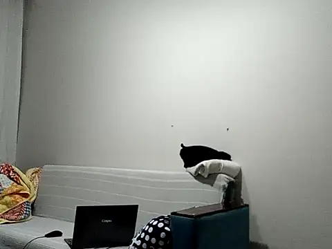 Snapshot of BellBort chatting on 3, 3, 2026 BellBort online show from 3, 3, 2026