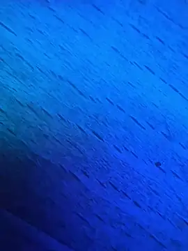 GmG2029 online show from 1, 3, 2025