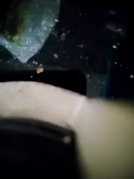 Loly2025 online show from 15, 11, 2025