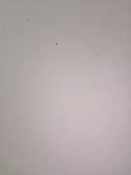 EmmaSulivan online show from 21, 2, 2026