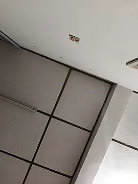 Snapshot of EmmaSulivan chatting on 20, 5, 2026 EmmaSulivan online show from 20, 5, 2026