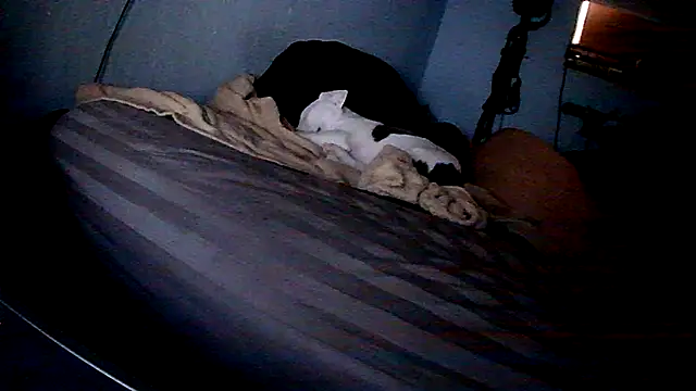 PornStro921 online show from 11, 2, 2026