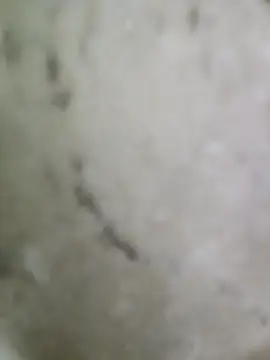 pussyfatasss online show from 27, 9, 2025