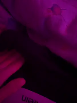 mario 6 9 9 0 online show from 7, 3, 2025