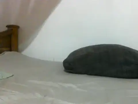 Snapshot of sissydinu chatting on 28, 2, 2025 sissydinu online show from 28, 2, 2025