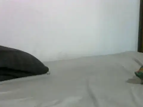 Snapshot of sissydinu chatting on 17, 3, 2025 sissydinu online show from 17, 3, 2025