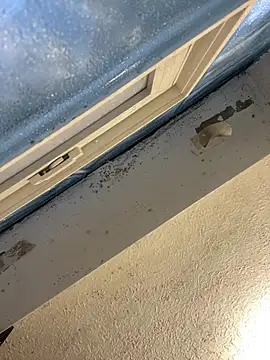 Snapshot of YODAPESOS chatting on 23, 2, 2026 YODAPESOS online show from 23, 2, 2026