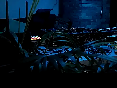 gryzoon online show from 29, 6, 2026