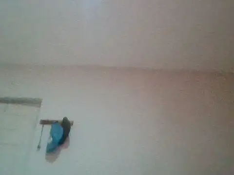 Snapshot of bafeng chatting on 24, 7, 2026 bafeng online show from 24, 7, 2026