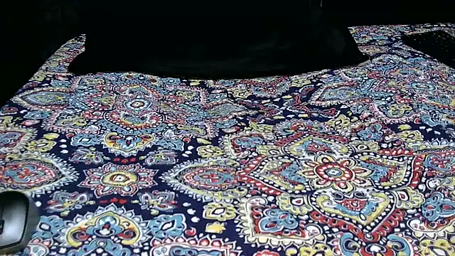 Snapshot of Novata chatting on 16, 11, 2025 Novata online show from 16, 11, 2025