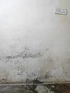 pallu telgu kannada online show from 4, 3, 2026