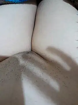 yakot7 online show from 7, 11, 2025