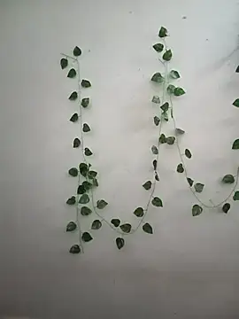 Snapshot of Neha-Bhabhi-Rasily chatting on 14, 2, 2026 Neha-Bhabhi-Rasily online show from 14, 2, 2026