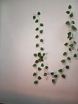 Snapshot of Neha-Bhabhi-Rasily chatting on 18, 2, 2026 Neha-Bhabhi-Rasily online show from 18, 2, 2026