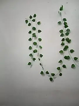 Snapshot of Neha-Bhabhi-Rasily chatting on 22, 2, 2026 Neha-Bhabhi-Rasily online show from 22, 2, 2026