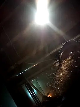 SirJonBradley online show from 19, 9, 2025