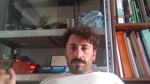 Febo6666 online show from 2, 7, 2026
