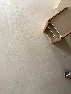 Flacovergon26 online show from 14, 1, 2026